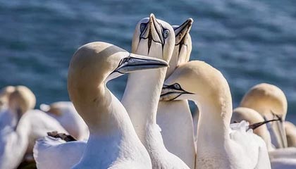 kaiyun登录入口-运动员技能竞赛奖励机制，运动员技能竞赛奖励机制是什么